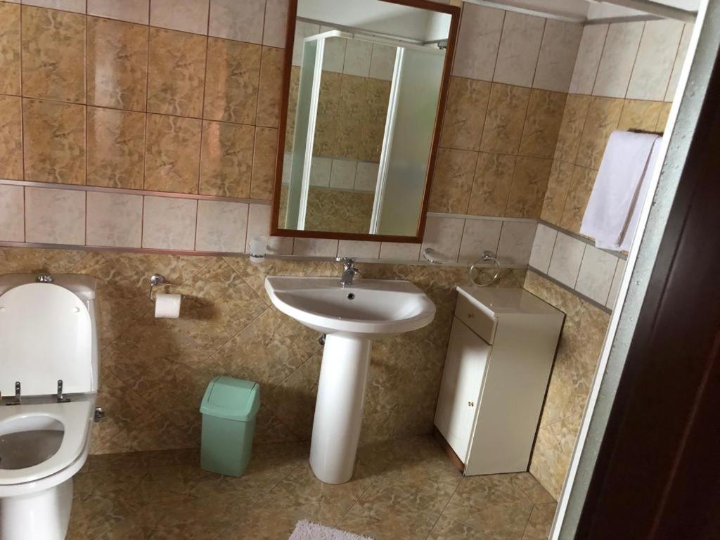 Vila Eli Villa Azuga Eksteriør billede